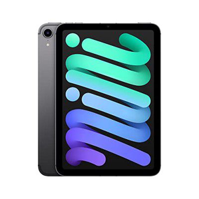 2021 Apple iPad Mini with A15 Bionic chip (Wi-Fi + Cellular, 256GB) 