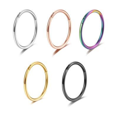 5 Pcs 20G 18G 16G Nose Rings Hoop Set 316L Surgical Steel Earrings Tragus Septum Piercing Cartilage Hoop For Women Men