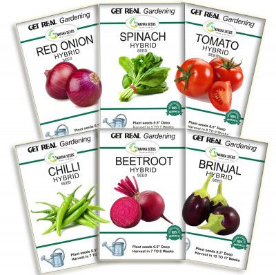 6 Packet Vegetable Seeds for Home Gardening Pots