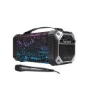 Ant Audio Rock 150, 15 watts, Bluetooth Party Speakers with FM Radio, Micro SD Card, USB, MIC and Aux 3.5 mm Support, Microphone for Karaoke Machine, LED Lights and Subwoofer...