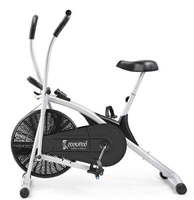 Cockatoo AB06 Stainless-Steel Indian Exercise Bike (Black)