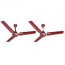 Havells Andria 1200mm Dust Resistant Ceiling Fan (Maroon, Pack of 2)...