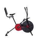 Lifelong LLF09 Steel Airbike with Back Support and Without Moving Handle...