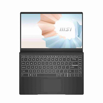 MSI Modern 14, Intel i3-10110U, IPS-Level Panel Laptop (4GB RAM + 256GB SSD), B10MW-660IN