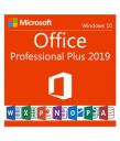 Microsoft Office 2019 Pro Plus ( 32/64 Bit ) Licence ...