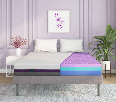 Doctor Dreams by Nilkamal Comfortable Dual Foam Support TruGrid® Mattress (Single, 75X36, White & Purple)