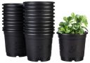 Solimo 100% Virgin Plastic Round Nursery Planter Pot | Indoor and Outdoor Flower Pot for Home/Office/Table/Garden/Balcony Decoration | 6 inch (Set of 20)...