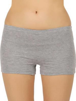 Women Boy Short Multicolor Panty