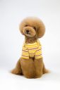 A+a Pets' Dog T-Shirts Quick Dry, Lightweight, Soft Tank Top Breathable with Sleeves Vest Dog Puppy Tee Shirts (XL, Yellow)...