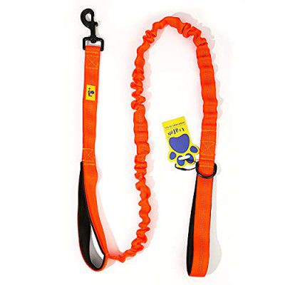 A+a Pets' No Pull Bungee Leash with Dual Handle (Orange)