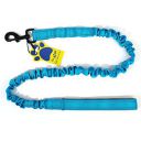 A+a Pets' No Pull Bungee Leash with Neoprene Padded Handle (Blue)...