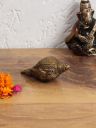 Aapno RajasthanBrown Small Brass Shankh Showpiece...