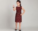 Aarika girls Dress...