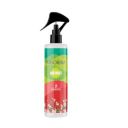 ABSORBIA Room Freshener | English Rose Fragrance | 200 Ml...