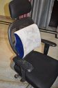 ACCUMEDEX Lumbar/Back Support Pillow for Office Chair...