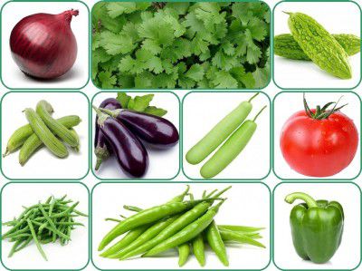 Aero Seeds 10 Variety Of Vegetable Seeds Combo Pack With Instruction Manual.