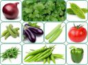 Aero Seeds 10 Variety Of Vegetable Seeds Combo Pack With Instruction Manual....