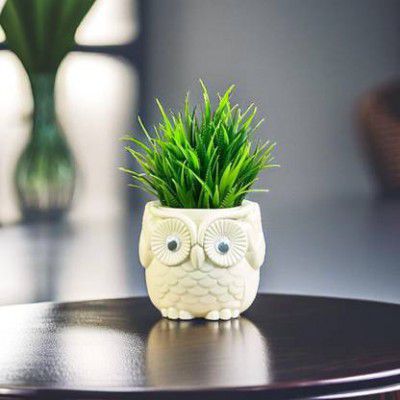Akaar Artificial Fern Plant with Hard Plastic Owl Pot for Home Decor | Office Decor Artificial Plant with Pot  (20 cm, Beige)