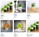 Akaar Artificial Plants Upto 94% Off | Starts @ Rs 94...