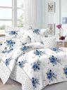 ALAFICER Cotton Double Bedsheet (Pack of 1, MULTI)...