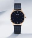 Allen Solly Analog Watch - For Women AS000028D...