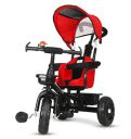 Amardeep and Co Baby Tricycle Sunshine with Safety Armrest, Parental Control and Canopy (1-5 Yrs) - Red...