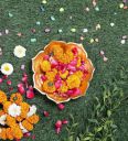 Amaya Decors By Gold Iron Sunflower Urli & Tea Light Holders...