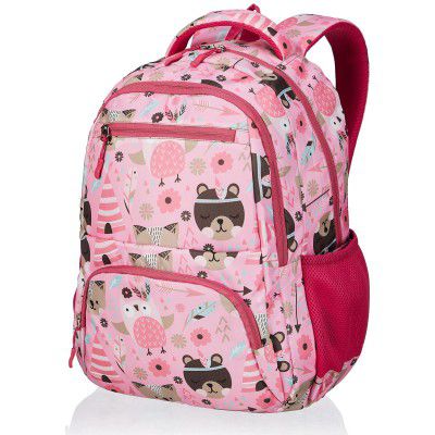 Amazon Basics 26 L School Backpack | 4 Compartments with Durable Zippers and Back Padding