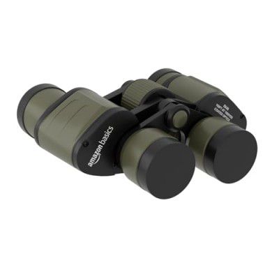 Amazon Basics 8X40 High-Power Binoculars | Ideal for Bird Watching, Sightseeing, Wildlife Trekking (Green)