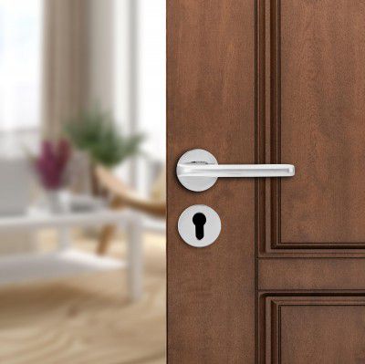 amazon basics Door Handle for Main Door | Main Door Handle 
