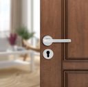 amazon basics Door Handle for Main Door | Main Door Handle...