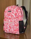 amazon basics Durable Lightweight 2 Compartment 15 L Backpack...