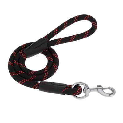 amazon basics Extra Thick Premium Nylon Rope Leash with Strong Hook| Training and Walking Dog Leash | 6 Feet