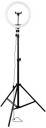 Amazon Basics LED Ring Light (14-inch) with Tripod Stand...