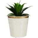 amazon basics Metal Planters for Indoor Outdoor | Flower Pots for Home/Garden/Balcony Décor (Bucket Shaped) (White)...