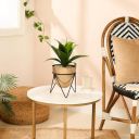 amazon basics Metal Planters with Stand (Pack of 1) | Planter for Living Room and Bedroom Decor | Best Decor Gift (Copper Gold)...