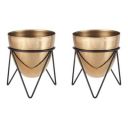 amazon basics Metal Planters with Stand (Pack of 2) | Planter for Living Room and Bedroom Decor | Best Decor Gift (Copper Gold)...
