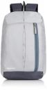 amazon basics - Mini Backpack for Outdoor Use (12 l) (Metallic Grey)...