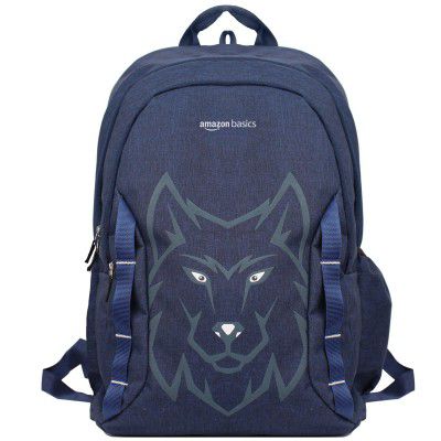 amazon basics Nylon Casual Standard 4 Compartment Backpack 