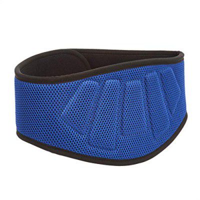 amazon basics Nylon Padded Weightlifting Belt