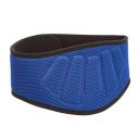 amazon basics Nylon Padded Weightlifting Belt...
