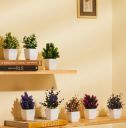 amazon basics Realistic Looking Artificial Plants | Dimensions: 5 cm X 13 cm (Pack of 8)...