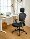 amazon basics Vega Multi Adjustable Headrest Office Chair (Black)...