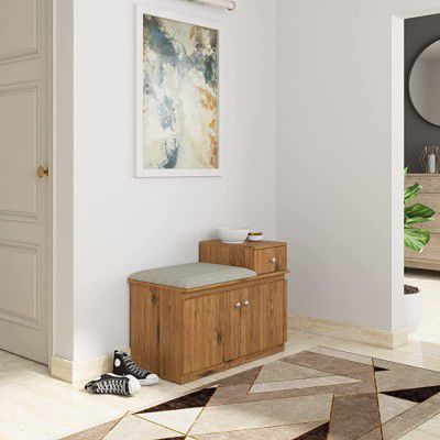 Amazon Brand - Solimo Amatory Engineered Wood Shoe Rack with Door