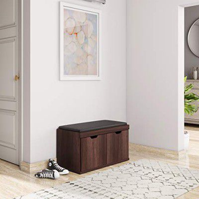Amazon Brand - Solimo Andro Engineered Wood 2 Door Shoe Rack with Seat (Oak Finish)