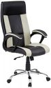 Amazon Brand - Solimo Brasov High Back Executive Chair (Black & Grey)...