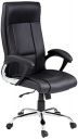Amazon Brand - Solimo Brasov High Back Executive Chair (Black,Metal)...