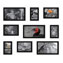 Amazon Brand - Solimo Collage Set of 9 Black Photo Frames (4 X 6 Inch - 3, 5 X 7 Inch - 3 & 6 X 10 Inch - 3)...
