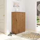 Amazon Brand - Solimo Conga Engineered Wood Shoe Rack ...