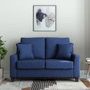Amazon Brand - Solimo Derre 2 Seater Sofa (Fabric, Blue)...